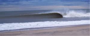 State of Surfing Pic