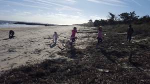 Surfrider-BeachCleanup