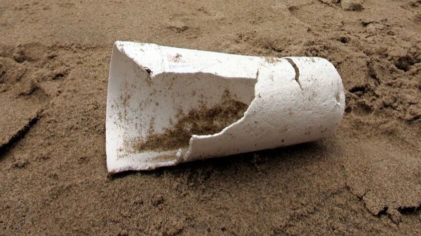 foam cup on beach