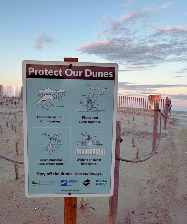 Dune signage at Delaware beaches titled 